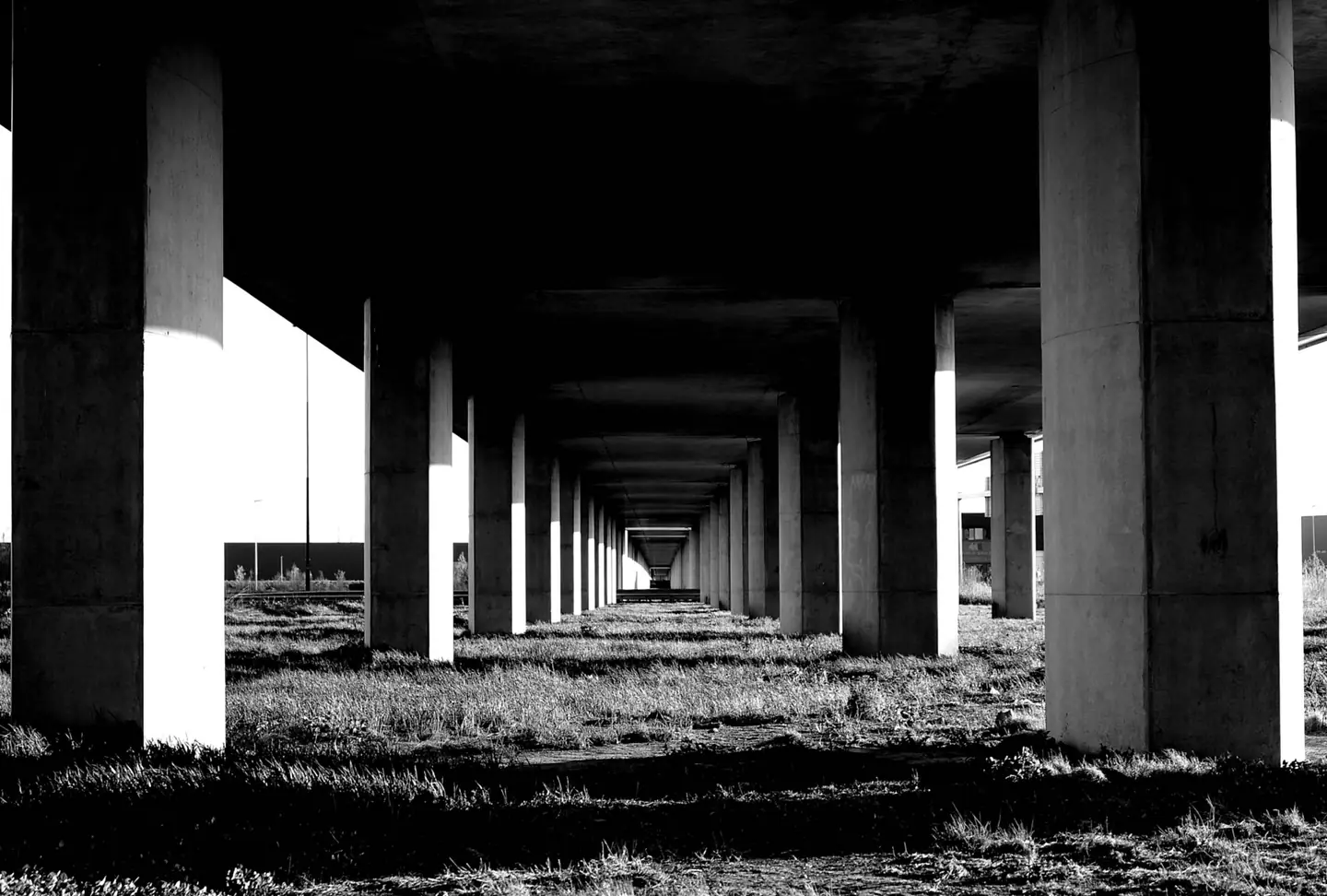 A row of concrete supports running into the distance
